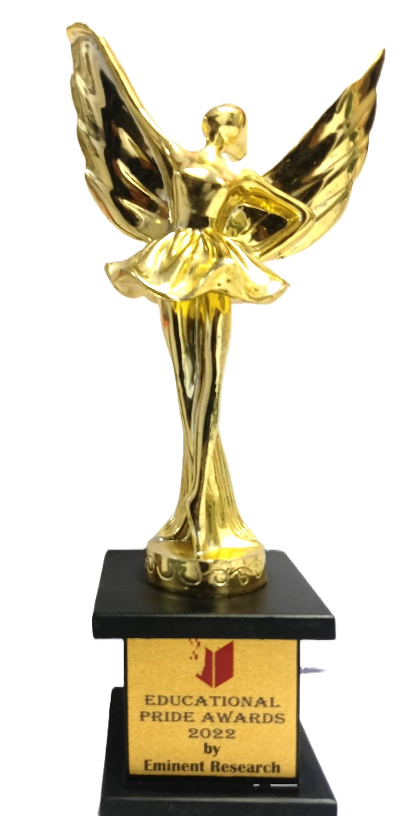 Educational Pride Award